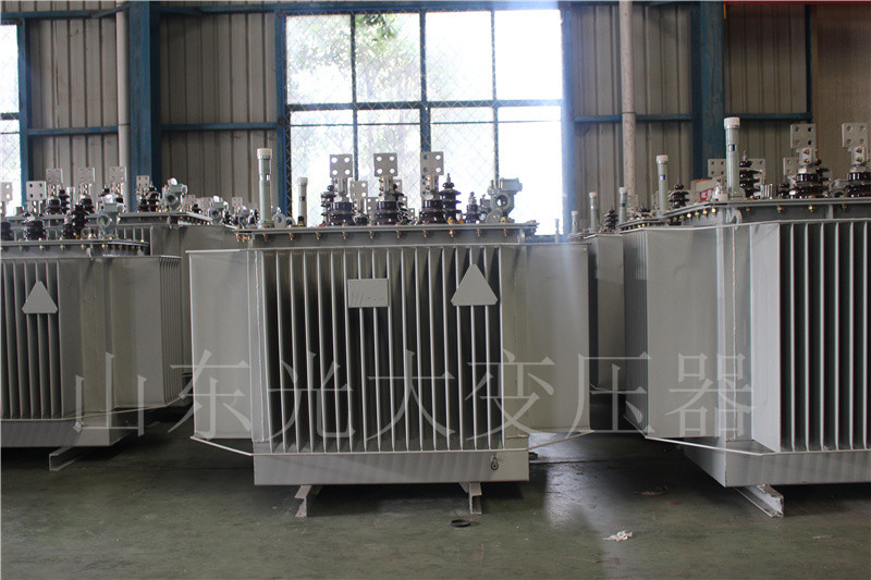 美溪S20-500KVA/10KV